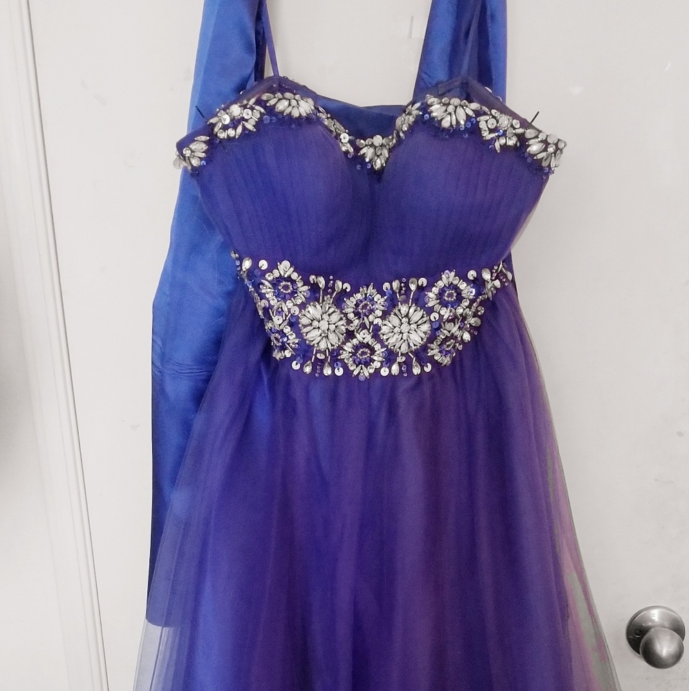 Royal Blue Dress